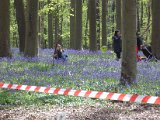 Hyacinten 2017 - 040.jpg